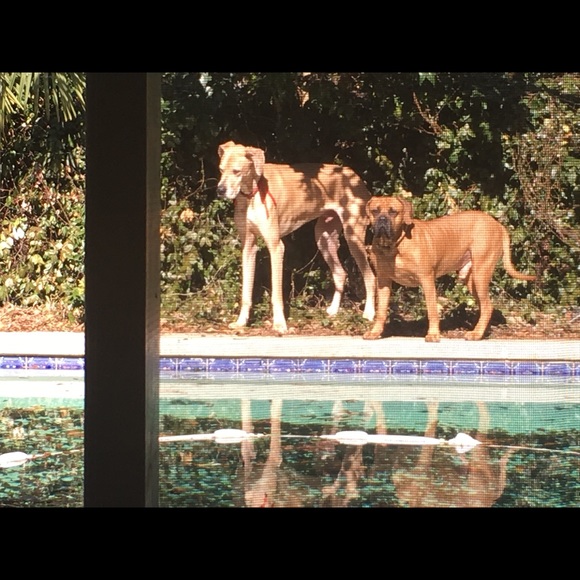 Meet your Posher, Margaret - Picture 4 of 6